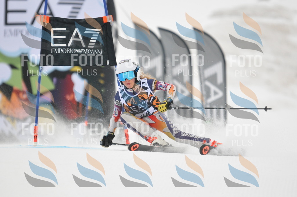 DSC_7658 | holidayphoto