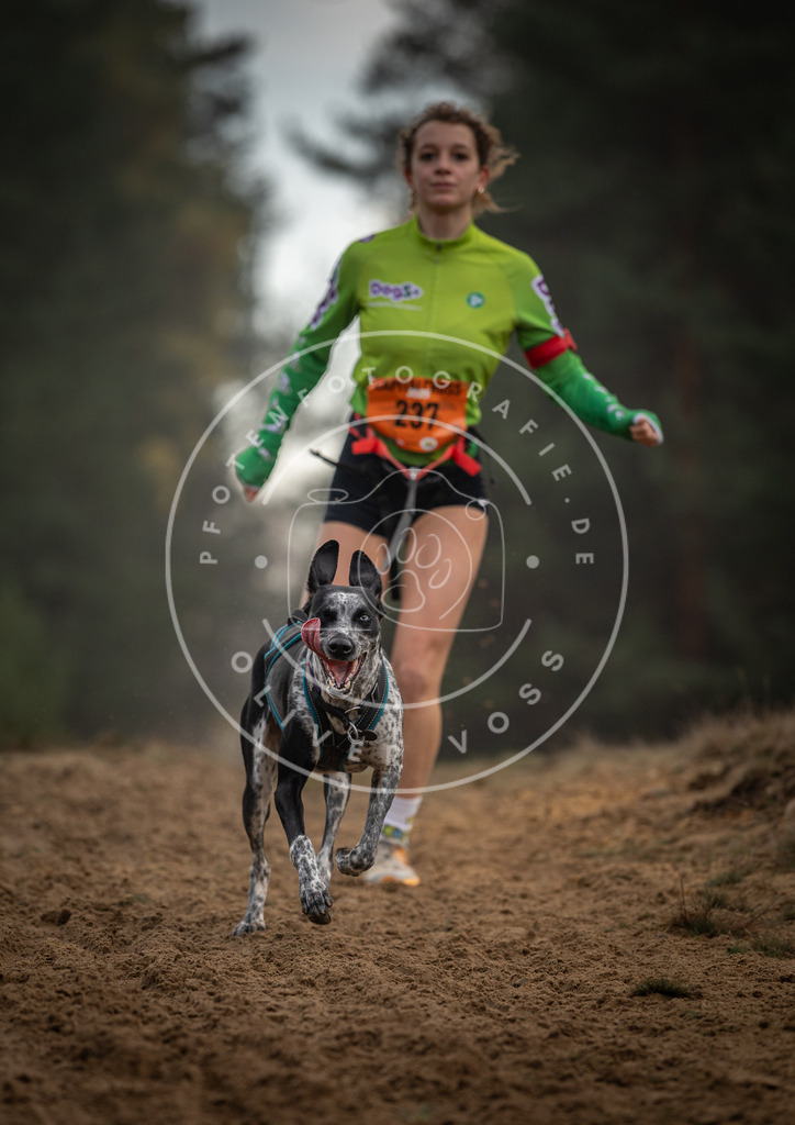 Pfotenfotografie_DV3A5595 | Hundefotografie, Tierfotograf, Pfotenfotografie, Fotoshooting Hund, Hunde Portrait, Hundesport, Hundeportraits, Heideshooting, Hunde, Sportfotograf, Hundefotograf, Turnierhundsport, THS,  - Realisiert mit Pictrs.com