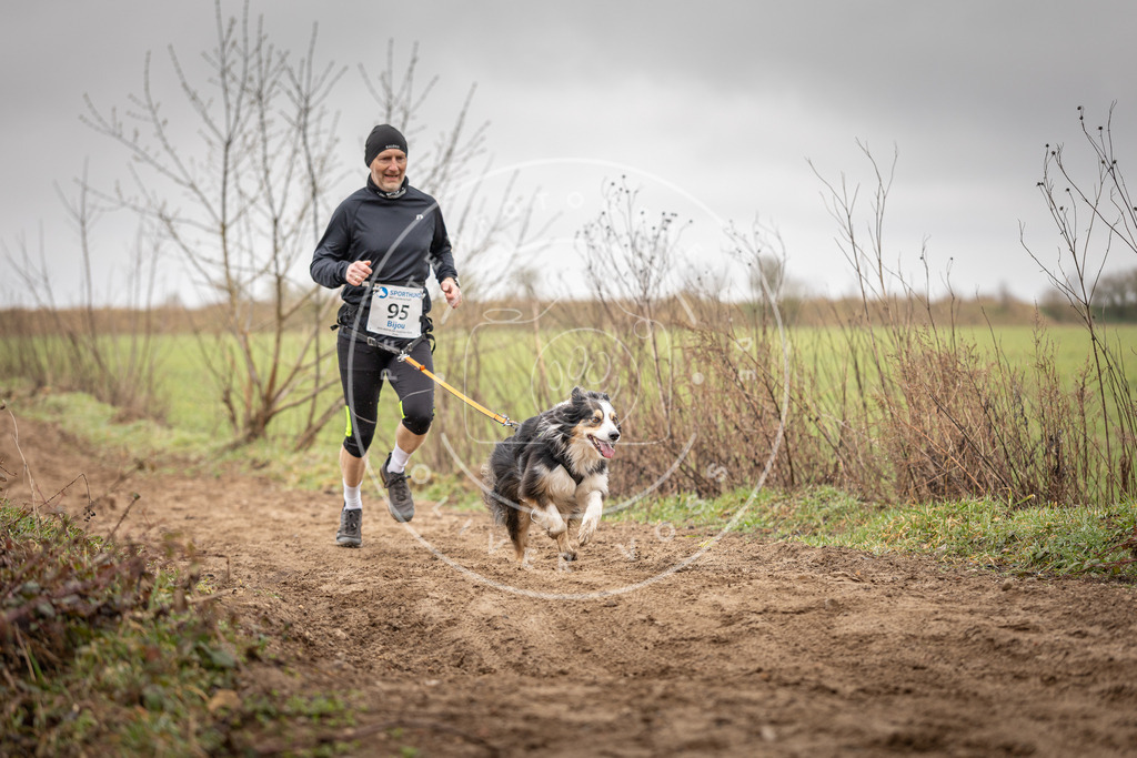 DV3A0085 | Hundefotografie, Tierfotograf, Pfotenfotografie, Fotoshooting Hund, Hunde Portrait, Hundesport, Hundeportraits, Heideshooting, Hunde, Sportfotograf, Hundefotograf, Turnierhundsport, THS,  - Realisiert mit Pictrs.com