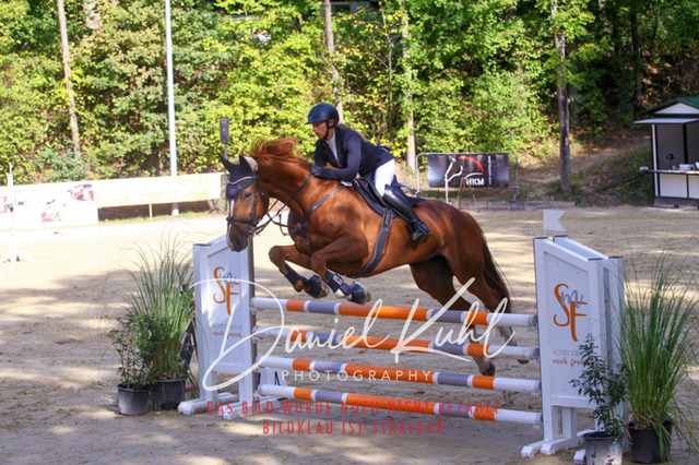 DKP42408 | Deine Turnierfotos vom Reitturnier online kaufen: Dressur, Springen & Siegerehrung. Professionelle Pferdefotografie aus dem Rheinland – als Download & Print.Alternative: Turnierfotograf für den Pferdesport: Finde deine Fotos von Dressur- und Springturnier