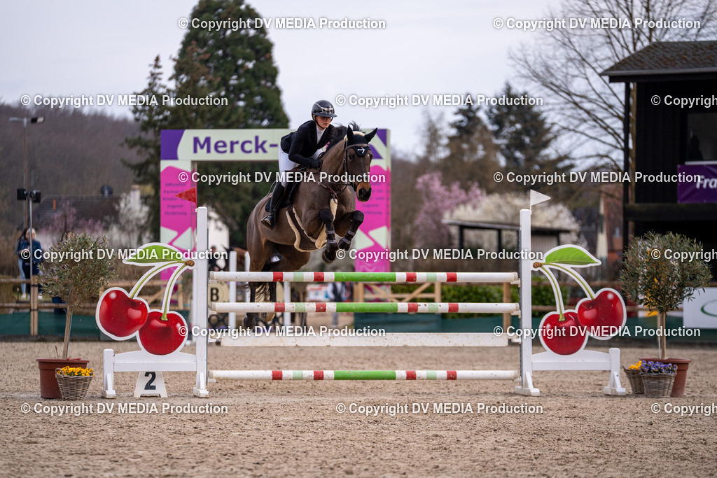 Kranichstein Tag 2-2297 | dv-media-shop - Realisiert mit Pictrs.com