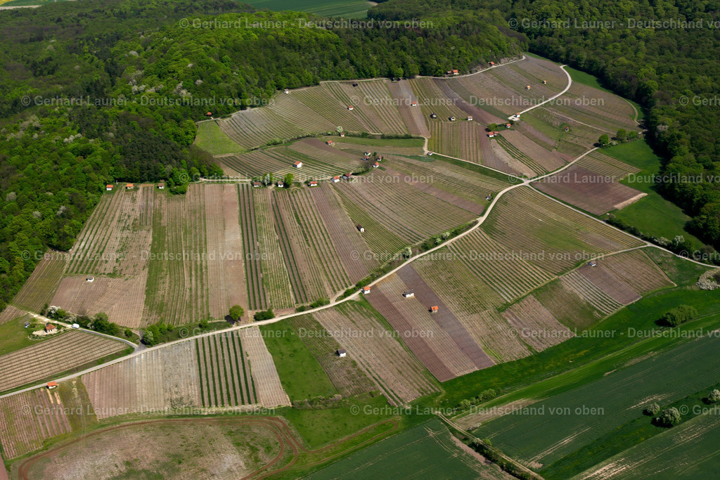 2605159 | Weinberge am Falkenstein bei Donnersdorf