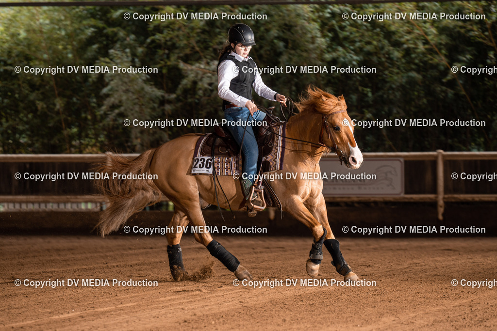 Erbach Tag 2-859 | dv-media-shop - Realisiert mit Pictrs.com