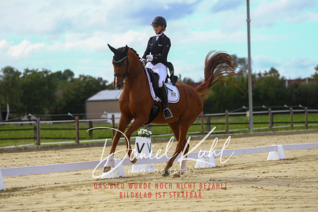 DKP44377 | Turniersportfotografie; Pferdefotografie; Dressurfotografie