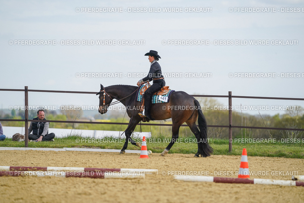 DSC05301 | Pferdegrafie