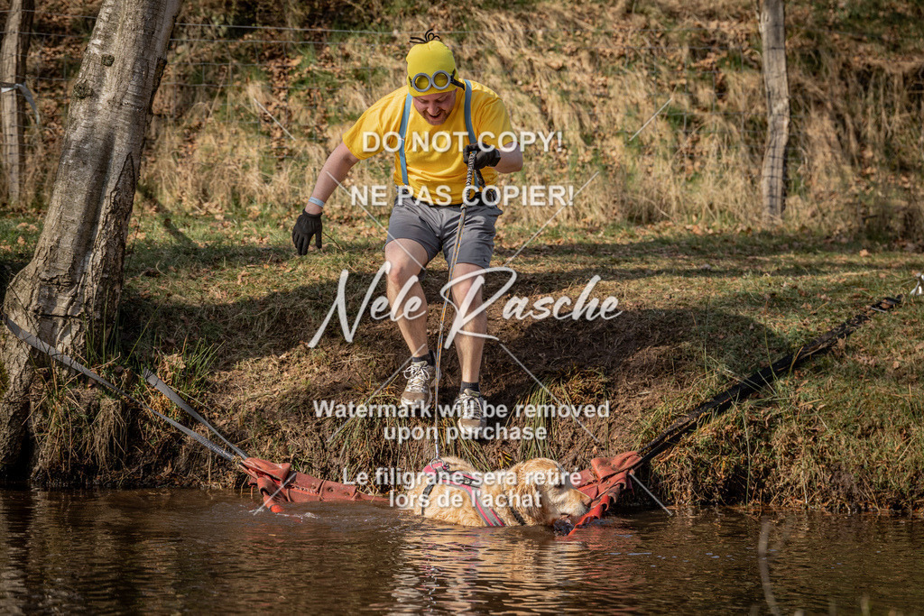 nelerasche_FS1330-1400_154 | nelerasche