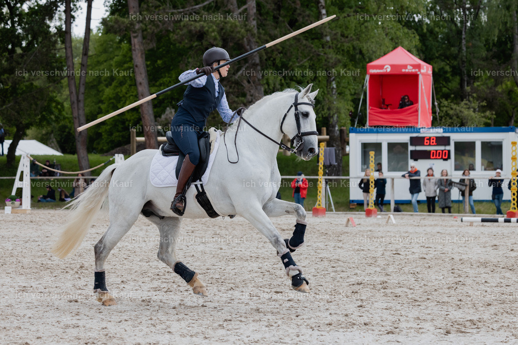 PI26_SP_StoibphotographyC2_C2372.CR3 | working equitationturnier fotograf videograf stoibphotography marixx film working equitation deutschland reitsport turnierfotografie eventfotografie equestrian events