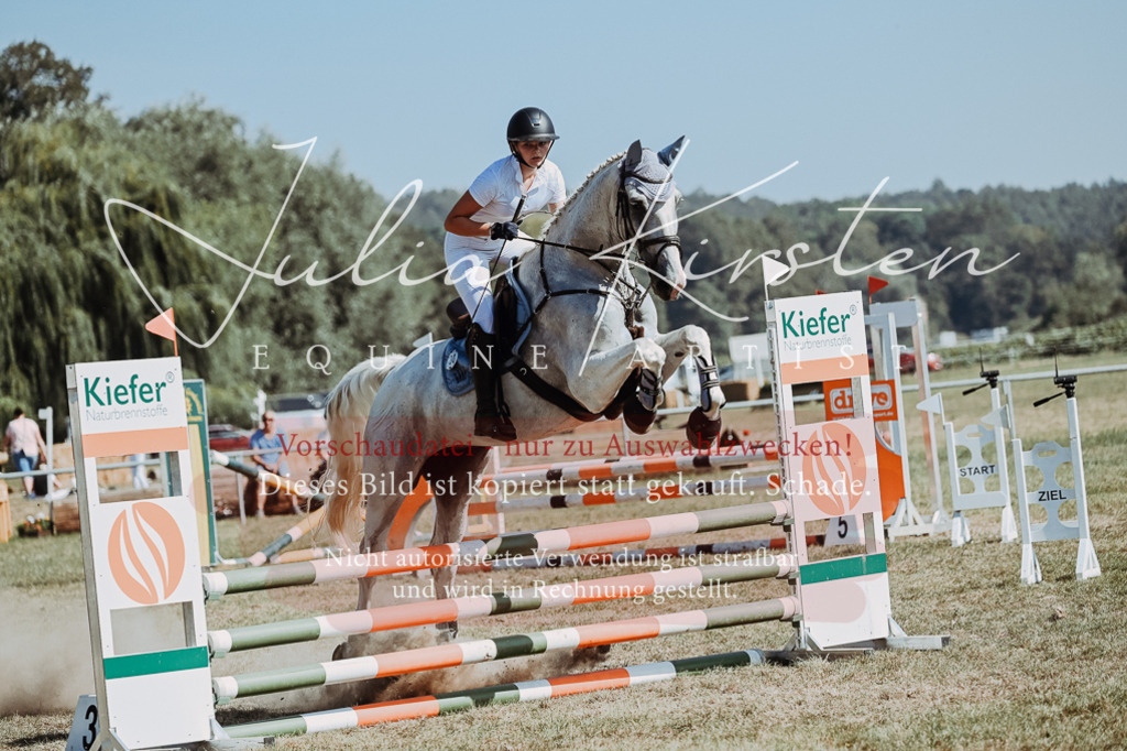 DSC_9576 | Pferde- und Turnierfotografie in Westsachsen. Pferdeportraits, Auftragszeichnungen und intuitive Kunst.