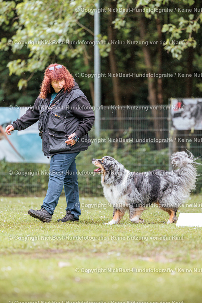 RO-Blumenthal-2026-Nickbest-Hundefotografie-3561 | Dein Hund! Dein Moment! Deine Erinnerungen! Hundefotografie in Bremen Blumenthal. Ich fange die besonderen Momente deines Vierbeiners ein – ob Indoor mit Blitzanlage oder in der freien Natur. Sicher dir dein Moment und dein Termin für eure Erinnerungen.