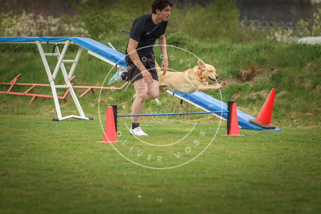 Pfotenfotografie_0L8A0864 | Hundefotografie, Tierfotograf, Pfotenfotografie, Fotoshooting Hund, Hunde Portrait, Hundesport, Hundeportraits, Heideshooting, Hunde, Sportfotograf, Hundefotograf, Turnierhundsport, THS,  - Realisiert mit Pictrs.com