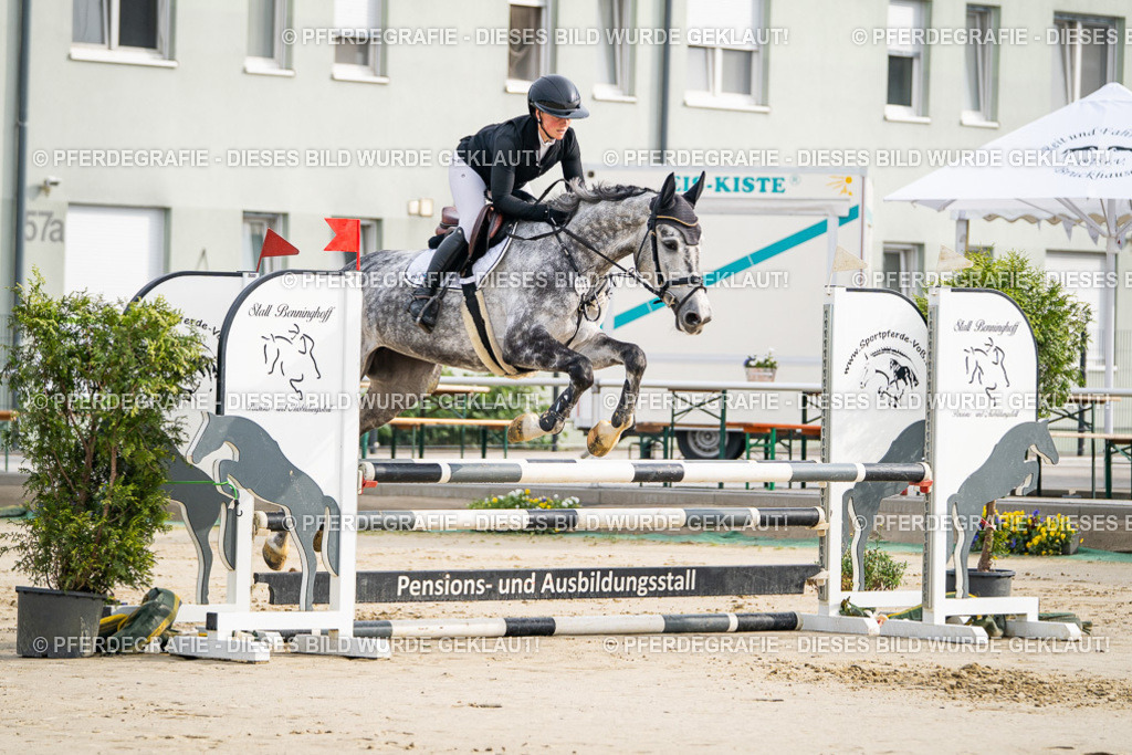 DSC08333 | Pferdegrafie