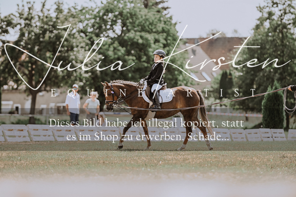 DSC_7596 | Pferde- und Turnierfotografie in Westsachsen. Pferdeportraits, Auftragszeichnungen und intuitive Kunst.