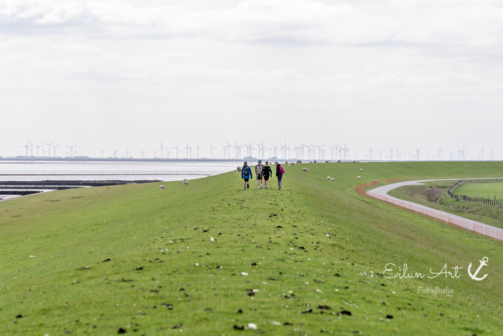EAF_1154 | Eilun-Art-Fotografie Levke Martens, ihre Fotografin für Immobilien- und Landschaftsfotografie auf Föhr, Föhrer Motive als Poster, Leinwand, hinter Acrylglas oder stelle dir deinen eigenen Monatskalender zusammen, mit nur einem Klick