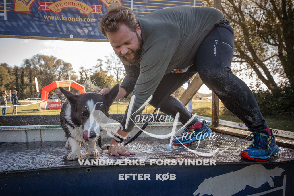 1212_ZZ95020 | kk-dogfotos