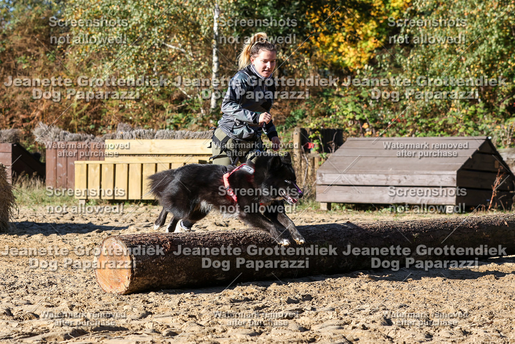 Dog Paparazzi - Strongdog 10-25-2188 | Dog Paparazzi Jeanette Grottendiek Fotografie & Videografie - Realisiert mit Pictrs.com