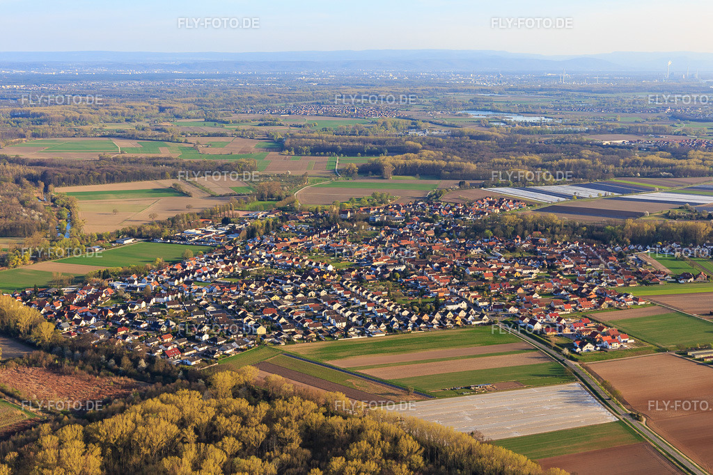 Dorfansicht in den Rheinauen aus Nordwesten | Luftbild: Dorfansicht in den Rheinauen aus Nordwesten in Hördt im Bundesland Rheinland-Pfalz in Deutschland. Foto: IMG_097960.jpg vom 30.03.2017 durch Werner Riehm/FLY-FOTO.de - Realisiert mit Pictrs.com