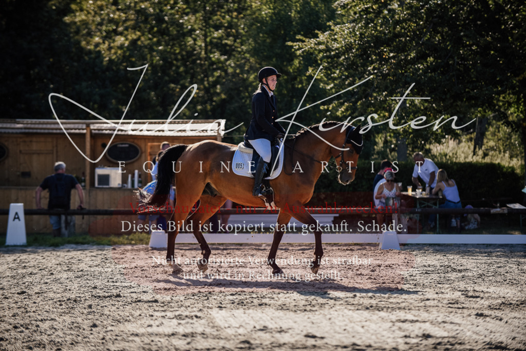 DSC_0671 | Pferde- und Turnierfotografie in Westsachsen. Pferdeportraits, Auftragszeichnungen und intuitive Kunst.