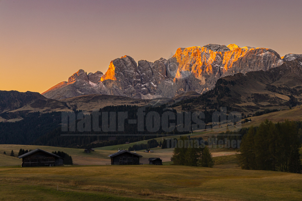 R6NF6702_20251002 | Ein atemberaubender Panoramablick über die Seiser Alm in den Südtiroler Dolomiten bei Sonnenuntergang. Die majestätischen Berggipfel im Hintergrund, darunter markante Felsformationen, erstrahlen in einem intensiven Gold- und Orangeton, ein Phänomen, das als 'Enrosadira' bekannt ist. Der Himmel darüber zeigt sanfte Übergänge von warmem Orange zu zartem Violett. Im Vordergrund erstrecken sich sanfte, grüne Almwiesen, auf denen traditionelle, dunkle Holzhütten verstreut liegen. Dunkle Nadelwälder säumen die Hänge und bilden einen Kontrast zu den hell erleuchteten Gipfeln. Die Szene strahlt eine tiefe Ruhe und natürliche Schönheit aus, typisch für einen Spätsommer- oder frühen Herbstabend in den Alpen. - Realisiert mit Pictrs.com