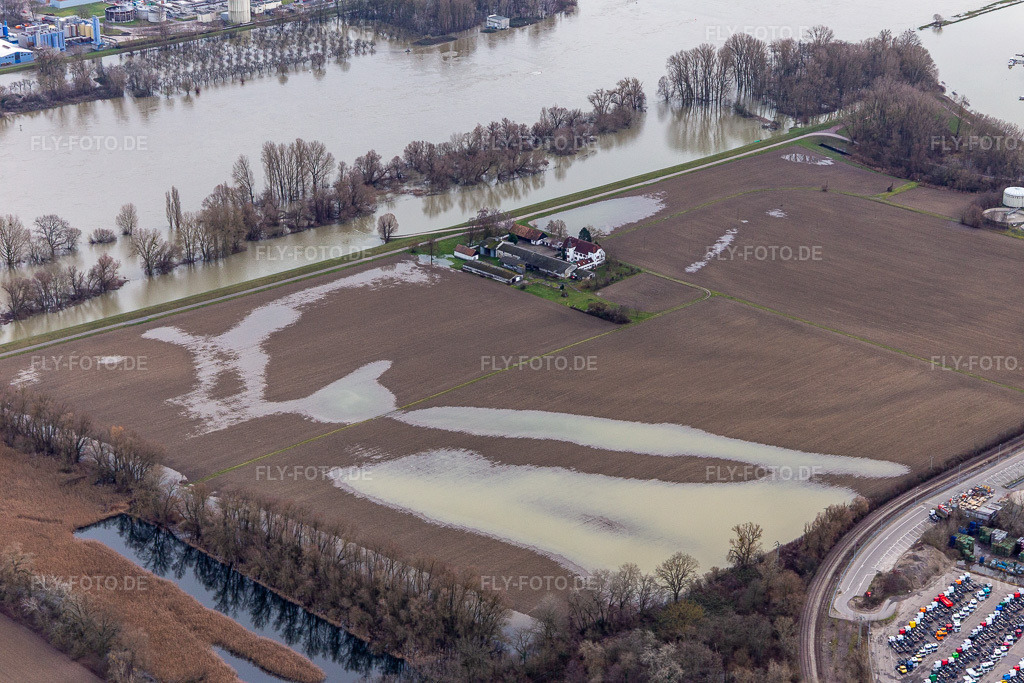Luftbild: Gehöft und Bauernhof- Nebengebäude Hofgut Ludwigsau bei Rheinhochwasser am Rhein im Ortsteil Maximiliansau in Wörth im Bundesland Rheinland-Pfalz in Deutschland. Foto: IMG_124244.jpg vom 04.02.2021 durch Werner Riehm/FLY-FOTO.de