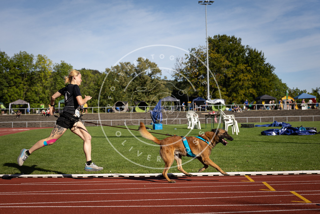 Pfotenfotografie_DV3A8775 | Hundefotografie, Tierfotograf, Pfotenfotografie, Fotoshooting Hund, Hunde Portrait, Hundesport, Hundeportraits, Heideshooting, Hunde, Sportfotograf, Hundefotograf, Turnierhundsport, THS,  - Realisiert mit Pictrs.com