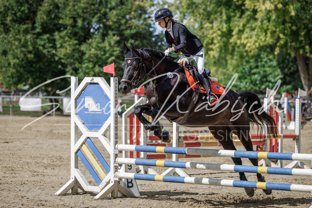 20260905-_3LI8890 | Tierfotografie Pferde, Hunde, Katzen, Haustiere.
Turnierfotografie Reitturniere, Reiten, Springreiten, Dressur in Hanau, dem Main-Kinzig-Kreis und dem Rhein-Main- Gebiet um Frankfurt