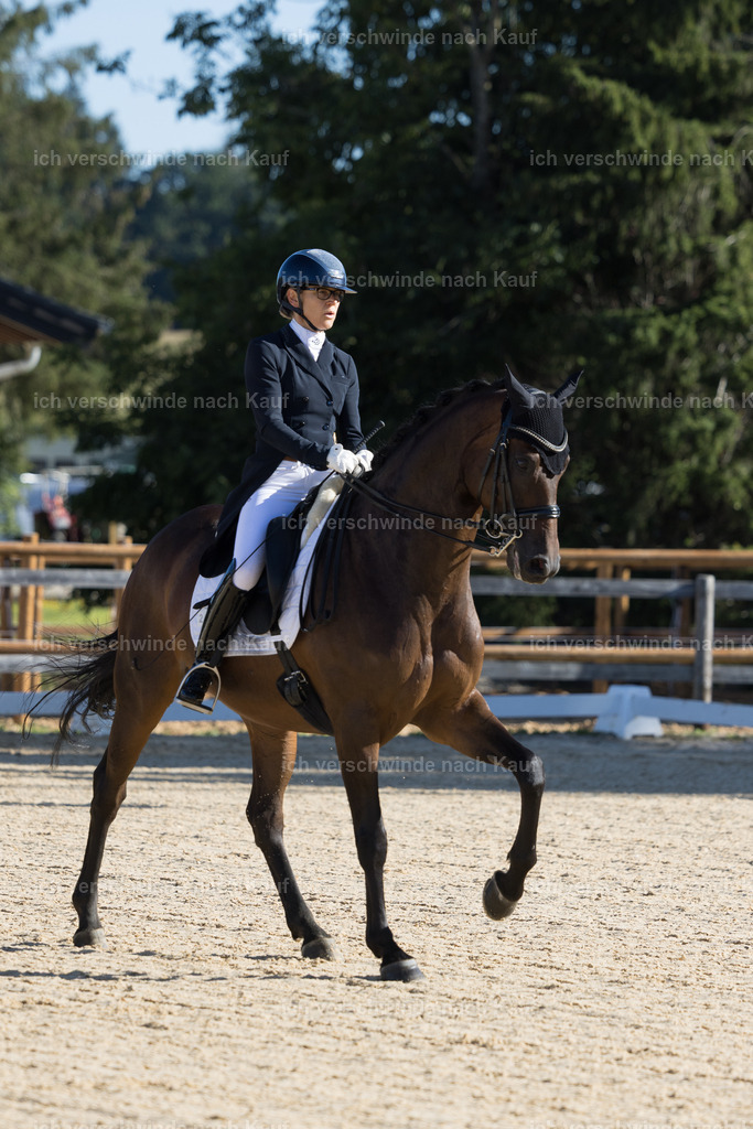FHC2026_P07_238_17210 | working equitationturnier fotograf videograf stoibphotography marixx film working equitation deutschland reitsport turnierfotografie eventfotografie equestrian events