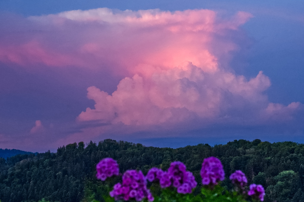 Gewitterwolke am frühen Morgen | In diesem Shop werden vorwiegend künstlerisch hochstehende Aufnahmen aus dem Bereich der Naturfotografie zum Verkauf angeboten. - In this store mainly artistic high quality shots from the field of nature photography are offered for sale. - Realisiert mit Pictrs.com