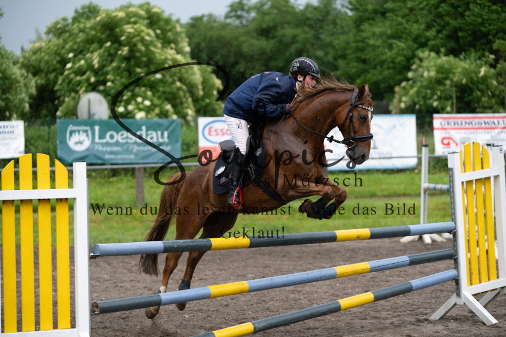 A7V05049 | Pferdefotograf