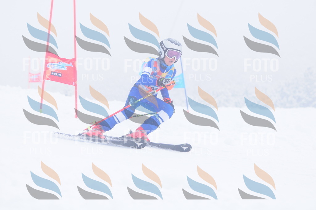 C2179 | holidayphoto