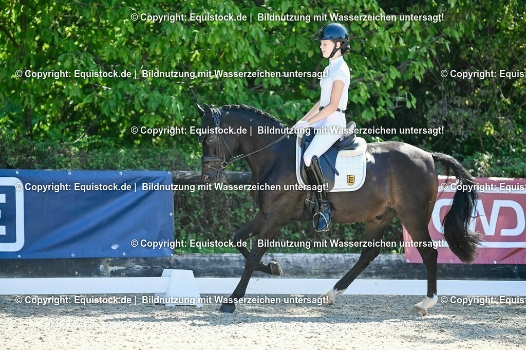 20230908_06_Dressur-L-Trense_0622 | equistock