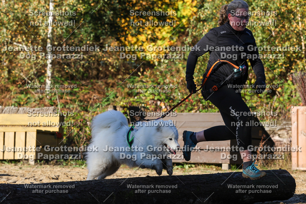 Dog Paparazzi - Strongdog 10-25-1212 | Dog Paparazzi Jeanette Grottendiek Fotografie & Videografie - Realisiert mit Pictrs.com