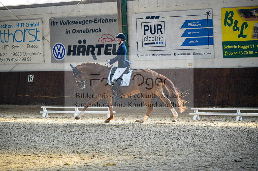 Reitturnier Voxtrup | Entdecke hochwertige Reitturnierfotos von Foto Oger. Professionell, emotional und authentisch – jetzt Lieblingsmomente im Shop bestellen.Deutschlandweite Turnierfotografie. - Realisiert mit Pictrs.com