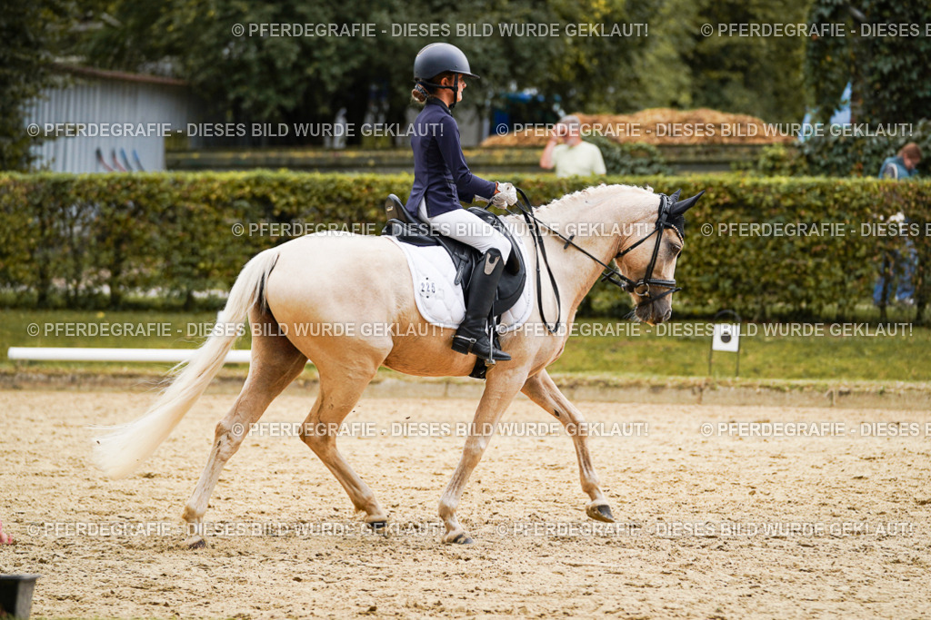 DSC00470 | Pferdegrafie