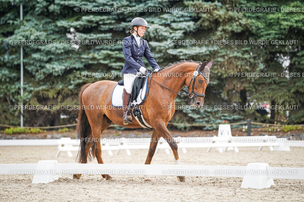 DSC00415 | Pferdegrafie