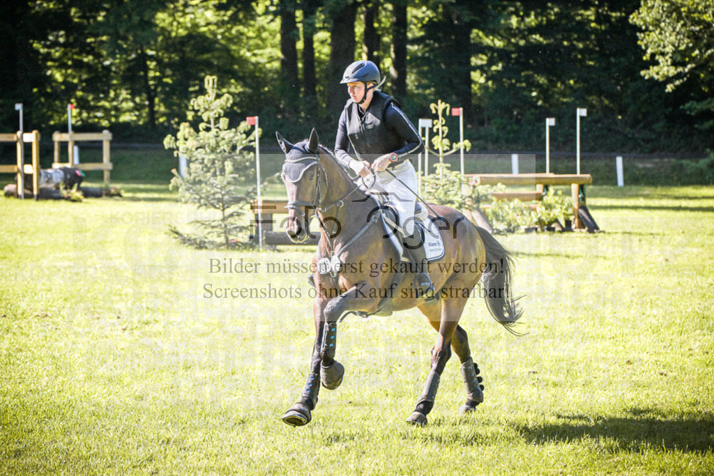 DOS_8480 | Entdecke hochwertige Reitturnierfotos von Foto Oger. Professionell, emotional und authentisch – jetzt Lieblingsmomente im Shop bestellen. - Realisiert mit Pictrs.com