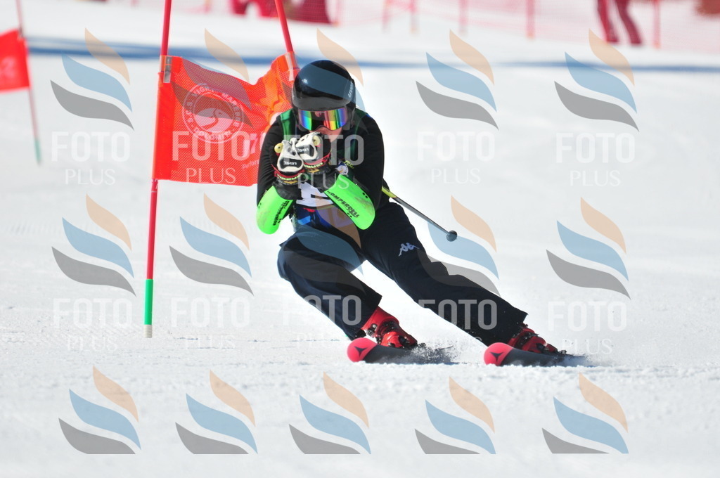 C4227 | holidayphoto