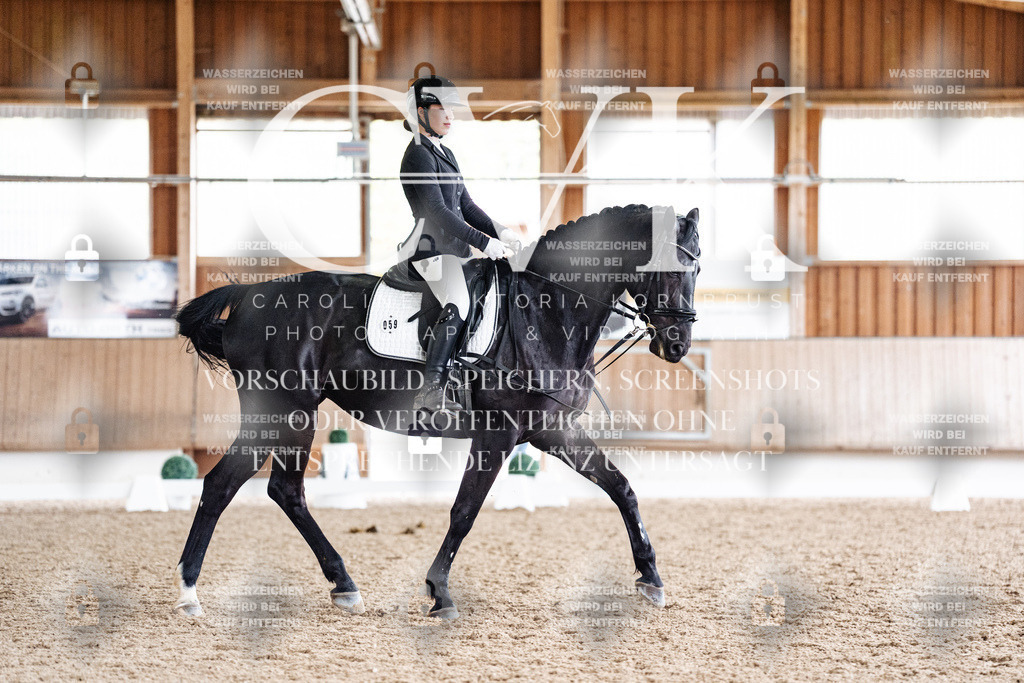 CK901090 | Turnierfotografie Pferdefotografie Trier Rheinland-Pfalz Pferdesport Reitsport Tierfotografie Sportfotografie Pferdevideo Pferdevideografie Equestrianvideography equestrianphotography  - Realisiert mit Pictrs.com