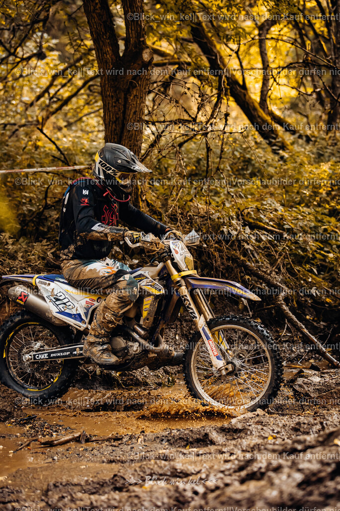 E68A6227 | blick_win_kel