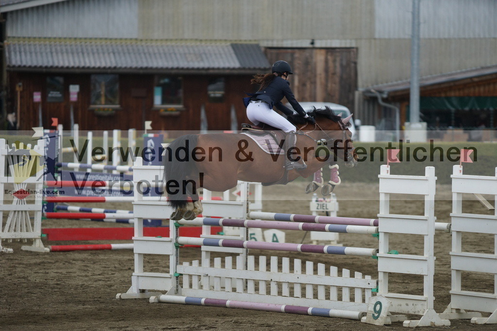 DSC01311 | equestrian-live-com