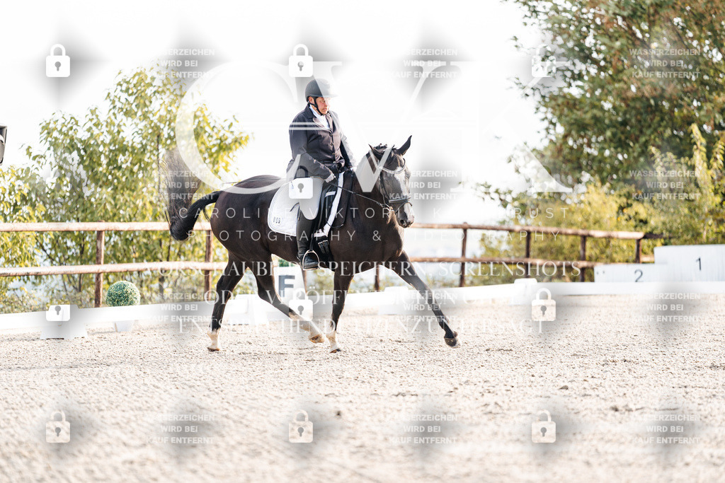 CK900280 | Turnierfotografie Pferdefotografie Trier Rheinland-Pfalz Pferdesport Reitsport Tierfotografie Sportfotografie Pferdevideo Pferdevideografie Equestrianvideography equestrianphotography  - Realisiert mit Pictrs.com