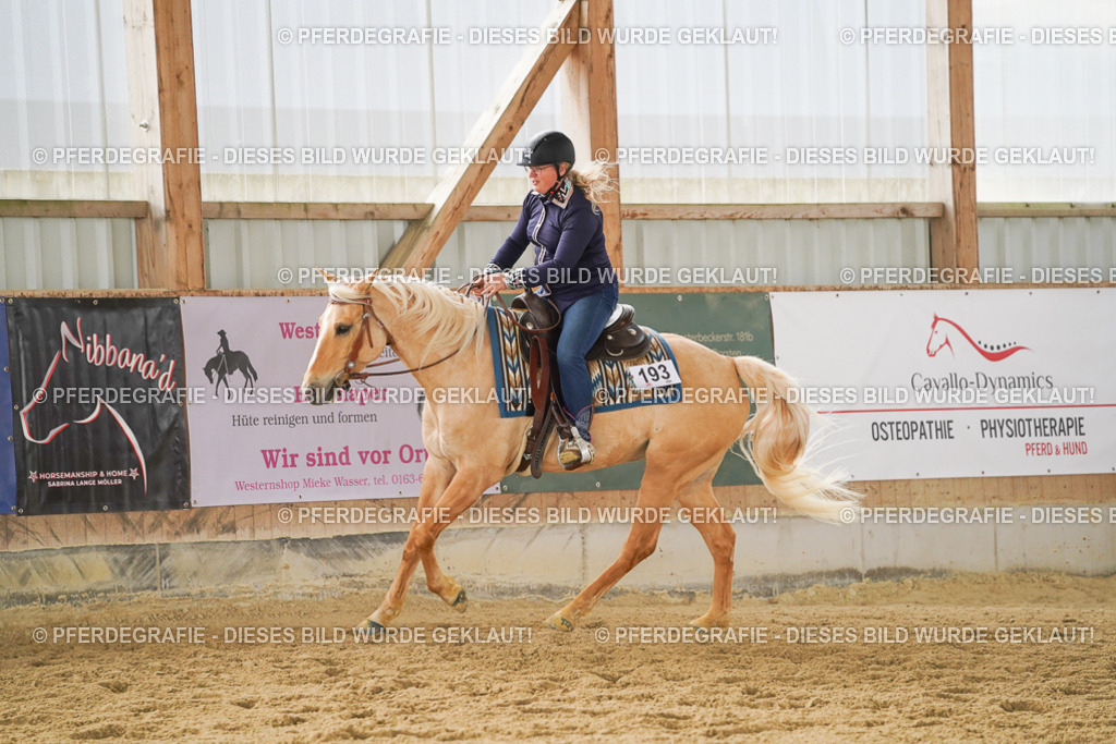 DSC06418 | Pferdegrafie