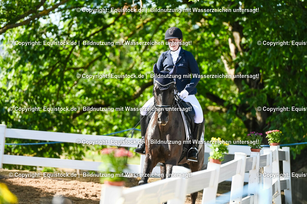 20230715_06_Dressurpferdeprfg. Kl.A_0176 | equistock