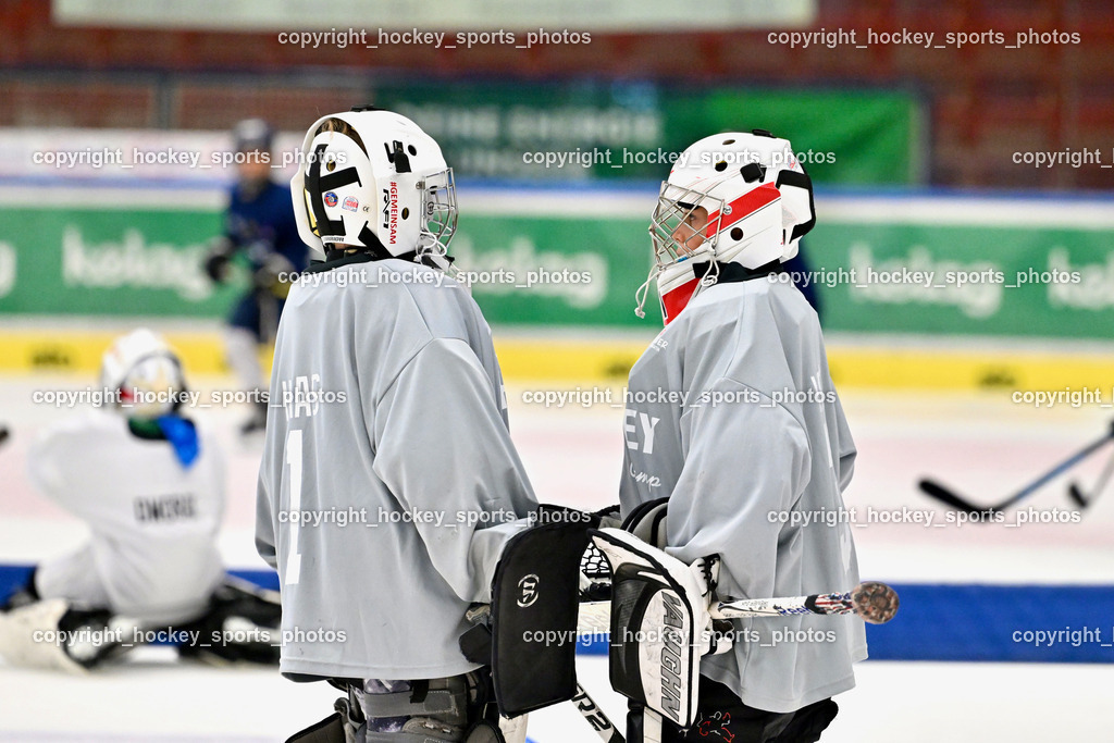 Z9B_7350 | hockey sports photos, Pressefotos, Sportfotos, hockey247, win 2day icehockeyleague, Handball Austria, Floorball Austria, ÖVV, Kärntner Eishockeyverband, KEHV, KFV, Kärntner Fussballverband, Österreichischer Volleyballverband, Alps Hockey League, ÖFB, 