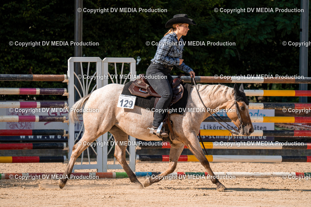 ZH100736 | dv-media-shop - Realisiert mit Pictrs.com