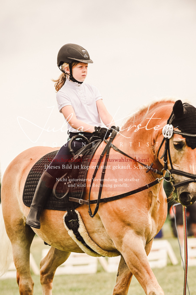 DSC_5220 | Pferde- und Turnierfotografie in Westsachsen. Pferdeportraits, Auftragszeichnungen und intuitive Kunst.