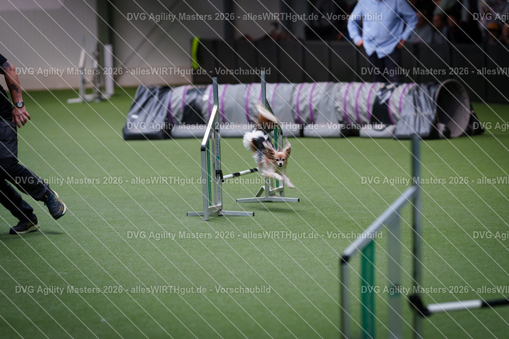 allesWIRTHgut_Tierfotografie-DVG_Agility_Masters_2026-12_15-7R507690 | Professionelle Tierfotografie in Mönchengladbach von Daniel Wirth (allesWIRTHgut). Liebevolle & natürliche Bilder von Hunden & Katzen für unvergessliche Erinnerungen.
