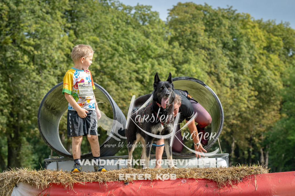 1125_ZZ94198 | kk-dogfotos