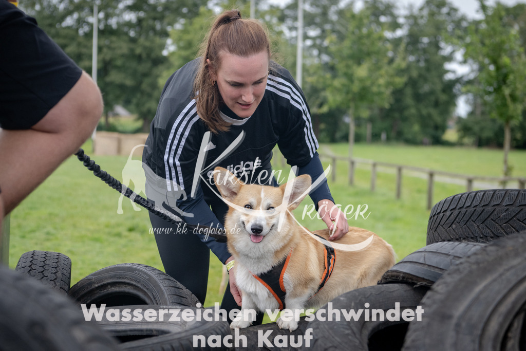 1242_ZZ92027 | kk-dogfotos