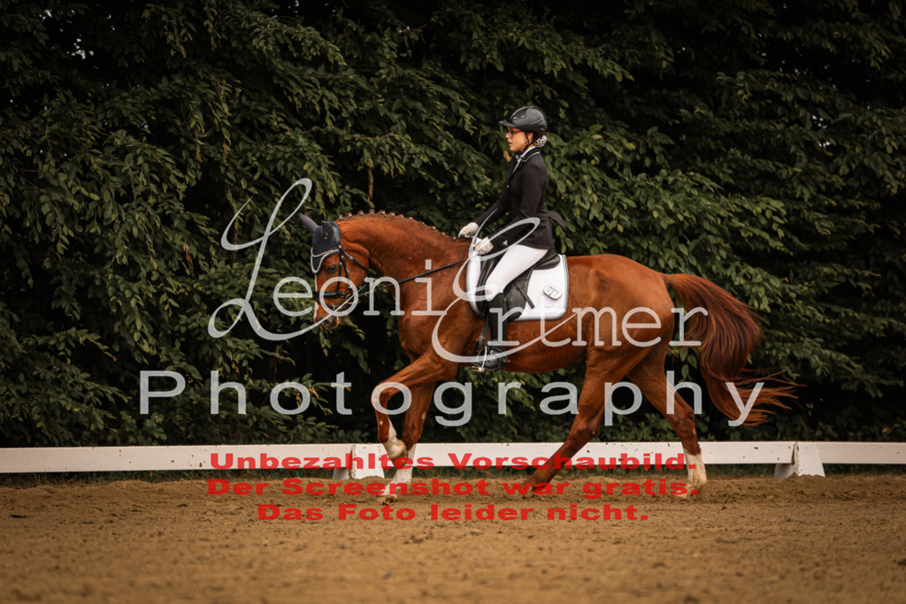 DoDrE00120 | Leoni Ertmer Photography - Realisiert mit Pictrs.com
