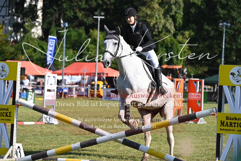 DSC_5074 | Pferde- und Turnierfotografie in Westsachsen. Pferdeportraits, Auftragszeichnungen und intuitive Kunst.